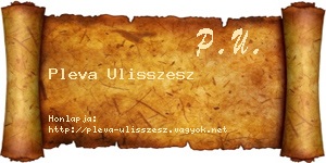 Pleva Ulisszesz névjegykártya